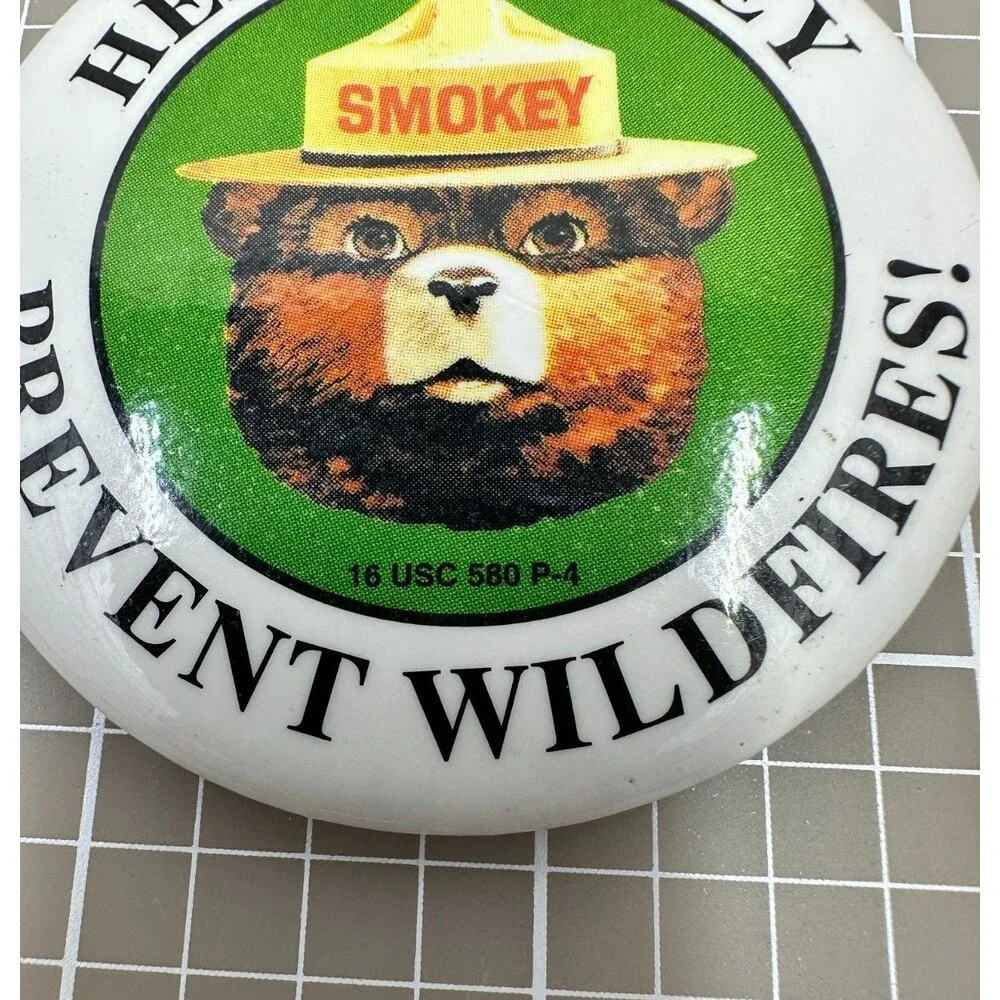Vintage 1970s Smokey Bear Pin Button Help Prevent‎ Wildfires Forest Badge